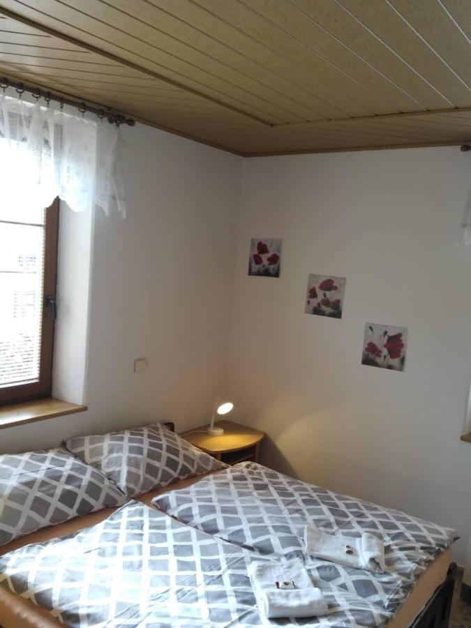 Apartma Doubek 로끼뜨니쩨나드이제로우 외부 사진